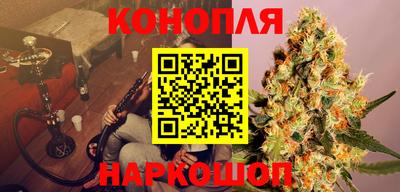 прущие грибы Будённовск