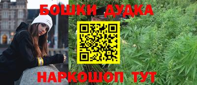 прущие грибы Будённовск