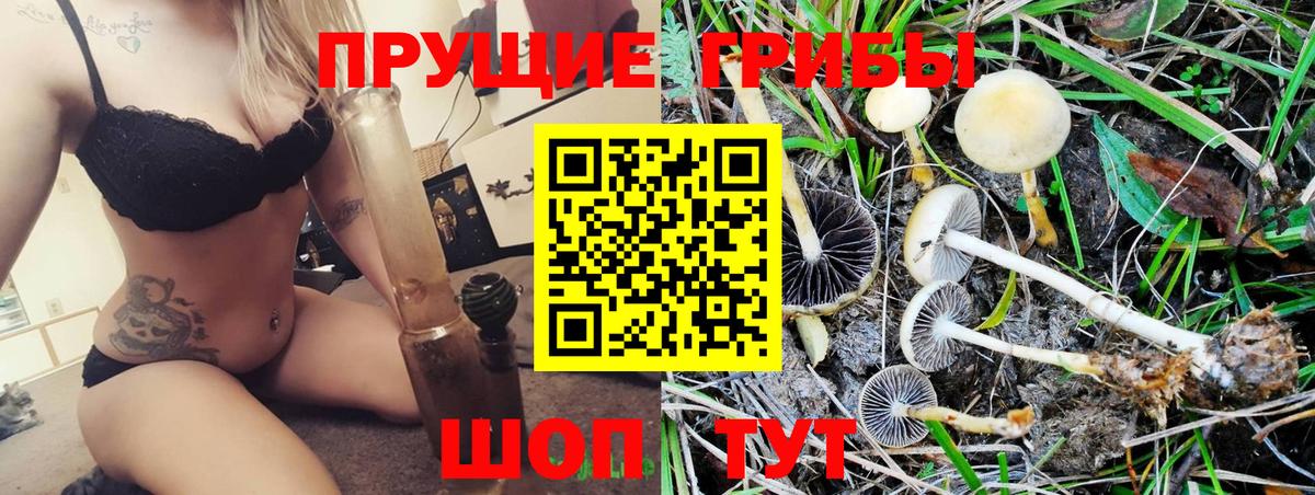 Псилоцибиновые грибы Cubensis Надым