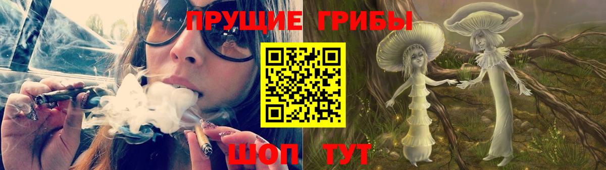 Надым  Псилоцибиновые грибы мицелий  купить закладку  Вход с VPN 